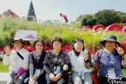 평창해냄평생대학 MT (썸네일)