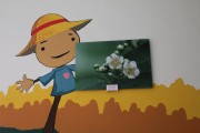 멸종위기식물 사진전 (썸네일)