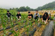 우리들의 꿈, 해냄팜 (썸네일)