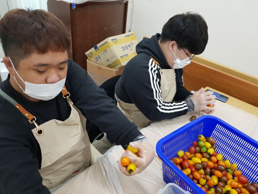 활동단원이 과일을 소분하여 담는 모습