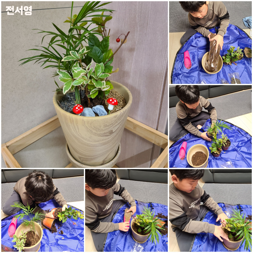 전서영: 화분에 꽃을 심고 완성시키는 과정이 담긴 사진