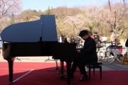 흩날리는 벚꽃 속에서, 어울려 봄 음악회 (썸네일)