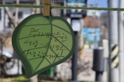 소통 가득한 양구를 위한, 양구군 장애인인권캠페인 (썸네일)