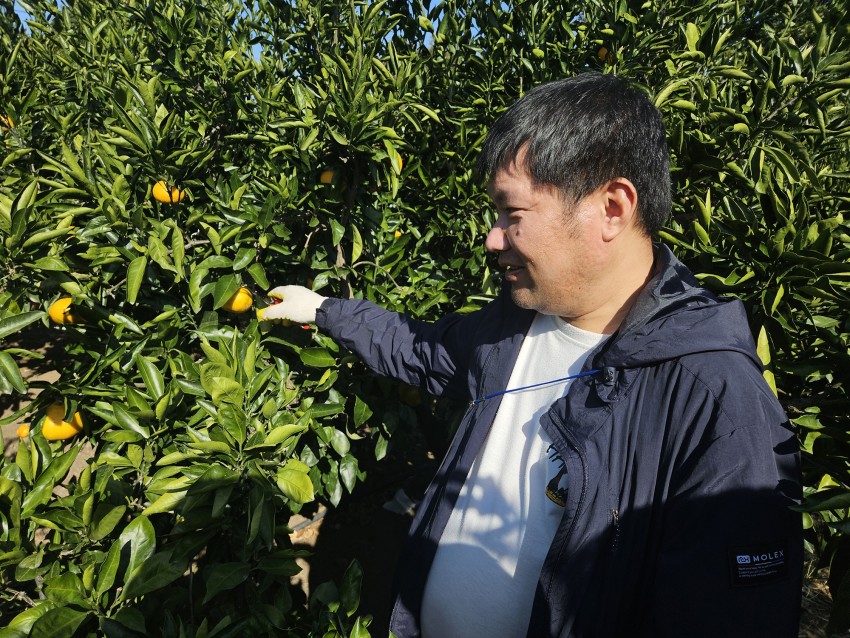 db766b32e7e82af6826f365a1cd38317_1763340