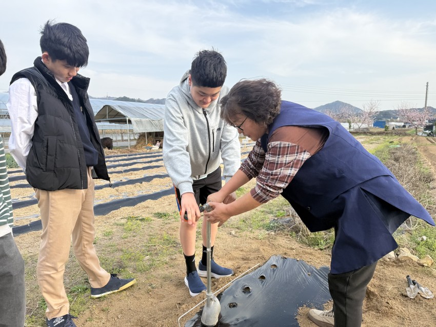 cee4a9adbb98414f632ec3a7d068f253_1777352