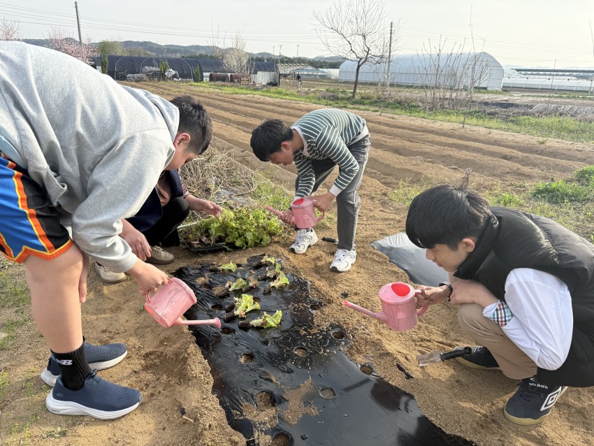 cee4a9adbb98414f632ec3a7d068f253_1777352