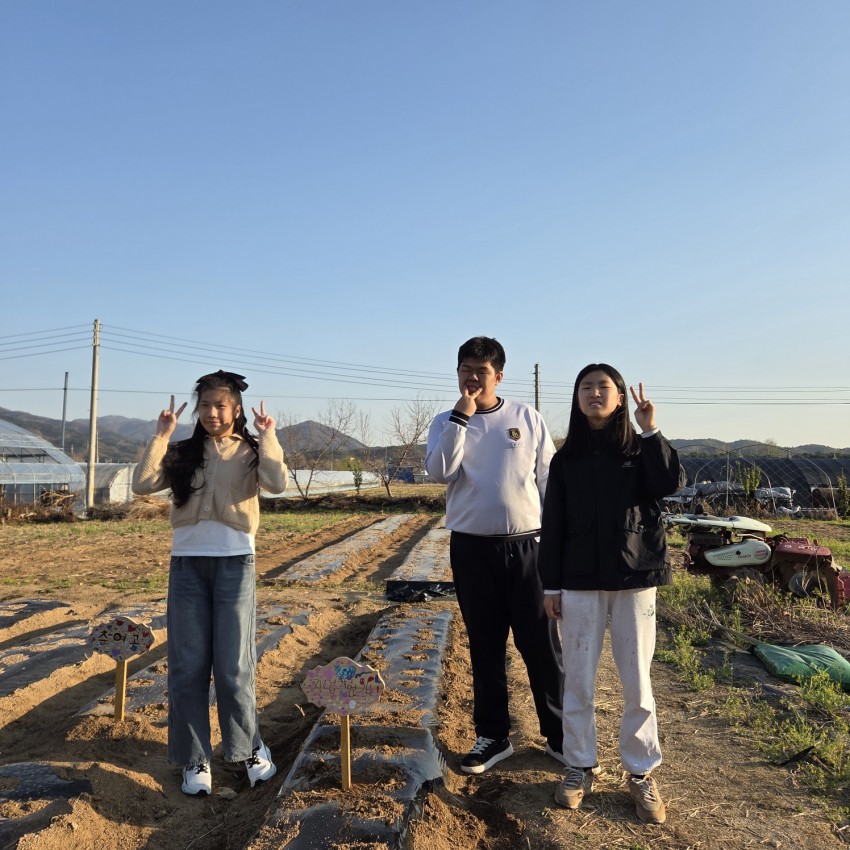 cee4a9adbb98414f632ec3a7d068f253_1777352