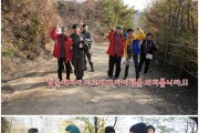 건강비타민 프로그램 (썸네일)