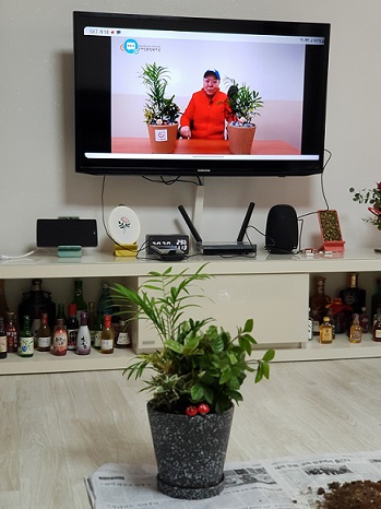 완성된 화분 사진