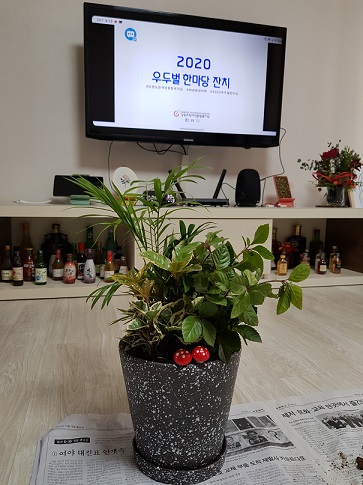 완성된 화분 사진
